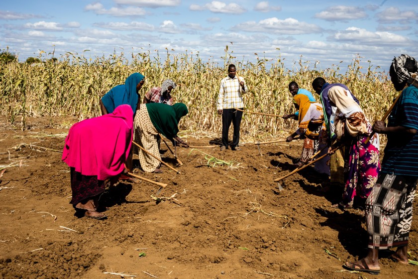 Advocates to Promote Education Health and Sustainable Development